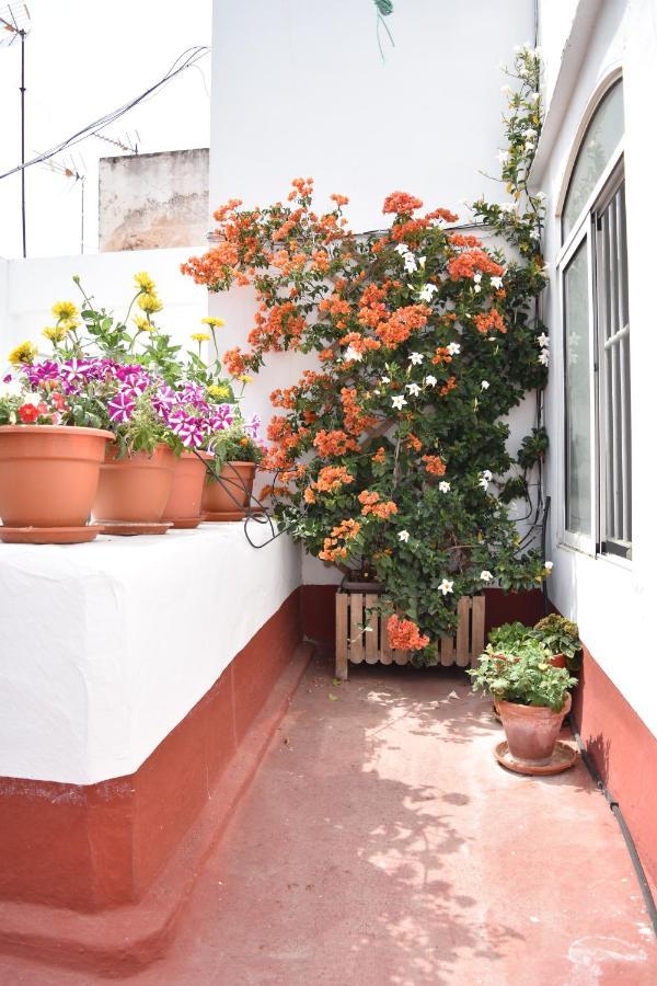 Apartamentos Veedor Cádiz Exterior foto